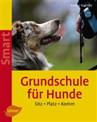 Karina Mahnke - Grundschule für Hunde
