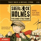 Michael Citrin, Tracy Mack, Stephan Schad, Bernd Stephan - Sherlock Holmes & Die Baker-Street-Bande, Audio-CDs: Mord auf dem Hochseil, 2 Audio-CDs (Audiolibro)