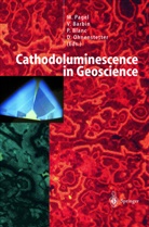 V. Barbin, Vincent Barbin, P. Blanc, Philippe Blanc, D. Ohnenstetter, Daniel Ohnenstetter... - Cathodoluminescence in Geosciences