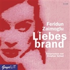 Feridun Zaimoglu, Stephan Schad - Liebesbrand, 6 Audio-CDs (Audiolibro)