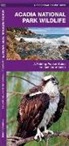 James Kavanagh, James/ Leung Kavanagh, Waterford Press, Raymond Leung - Acadia National Park Wildlife