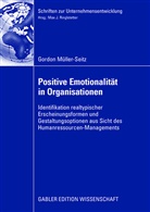 Gordon Müller-Seitz - Positive Emotionalität in Organisationen