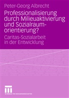 Peter-Georg Albrecht - Professionalisierung durch Milieuaktivierung und Freiwilligenbeteiligung?