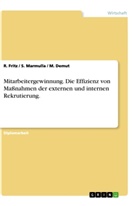 Demut, M Demut, M. Demut, Fritz, R Fritz, R. Fritz... - Mitarbeitergewinnung. Die Effizienz von Ma&szlig;nahmen der externen und internen Rekrutierung.