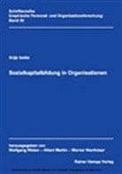 Anja Iseke - Sozialkapitalbildung in Organisationen