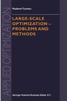 Vladimir Tsurkov - Large-scale Optimization