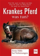Fürst, Anton Fürst, Geye, Han Geyer, Hans Geyer, Sali... - Krankes Pferd was tun?