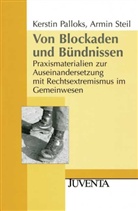 Palloks, Kersti Palloks, Kerstin Palloks, Steil, Armin Steil - Von Blockaden und Bündnissen