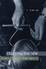 Alan E. Steinweis - Studying the Jew
