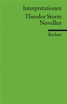 Theodor Storm, Christop Deupmann, Christoph Deupmann - Theodor Storm Novellen