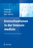 Junginge, T. Junginger, Theodor Junginger, Perneczk, A. Perneczky, Axe Perneczky... - Grenzsituationen in der Intensivmedizin