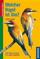 Detlef Singer - Welcher Vogel ist das?