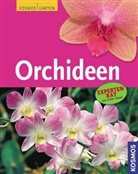 Joachim Erfkamp - Orchideen