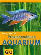 Ulrich Schliewen - Aquarium