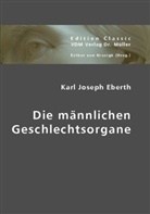 Karl J. Eberth, Karl Joseph Eberth, Esther Von Krosigk, Esthe von Krosigk, Esther von Krosigk - Die männlichen Geschlechtsorgane