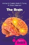 Ammar al-Chalabi, Ammar Chalabi, Ammar al Chalabi, R. Shane Delamont, et al, Martin Turner... - The Brain