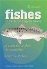 David A McKee, David A. McKee, David A./ Compton Mckee, Henry Compton, Janice D Fechhelm, Janice D. Fechhelm - Fishes Of The Texas Laguna Madre