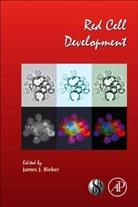 James J. (EDT) Bieker, James Bieker, James J. Bieker - Red Cell Development