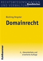 Henrik Angster, Jens Bücking - Domainrecht