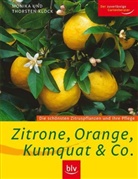 Monika Klock, Thorsten Klock - Zitrone, Orange, Kumquat & Co.
