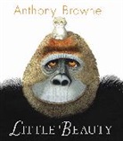Anthony Browne, National Geographic Learning, Anthony Browne - Little Beauty