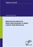 Arkadiy Omelchenko - Hierarchische physische Data-Cube-Strukturen in einem mobilen Data-Warehouse