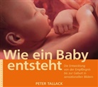 Peter Tallack - Wie ein Baby entsteht