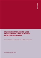 Eszter Fontana, Reinhold Kubik - Musikinstrumente und Musizierpraxis zur Zeit Gustav Mahlers; .