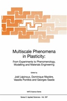 Joël Lépinoux, Dominiqu Mazière, Dominique Mazière, V. Pontikis, Vassilis Pontikis, Vassilis Pontikis et al... - Multiscale Phenomena in Plasticity: From Experiments to Phenomenology, Modelling and Materials Engineering