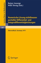 R. Ansorge, Rainer Ansorge, W. Törnig, Willi Törnig - Numerische Lösung nichtlinearer partieller Differential- und Integrodifferentialgleichungen