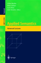 Gilles Barthe, P. Dybjer, Peter Dybjer, L. Pinto, Luis Pinto, Luis Pinto et al... - Applied Semantics