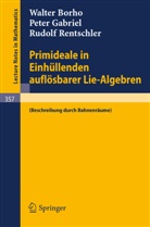 Walter Borho, Peter Gabriel, Rudolf Rentschler - Primideale in Einhüllenden auflösbarer Lie-Algebren