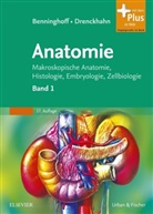 Benninghof, Benninghoff, Alfred Benninghoff, Drenckhahn, Detlev Drenckhahn, Detle Drenckhahn... - Anatomie - Bd. 1: Zellen- und Gewebelehre, Entwicklungslehre, Skelett- und Muskelsystem, Atemsystem, Verdauungssystem, Harn- und Genitalsystem