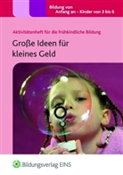 Sam Goodman, Elaine Massey - Große Ideen für kleines Geld
