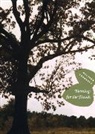 Matthew Schwartz - Blessings for the Hands