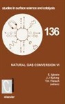 T. H. Iglesia Fleisch, T.h Iglesia Fleisch, T.h. (Bp Fleisch, FLEISCH T H IGLESIA ENRIQUE SPIV, T. H. Fleisch, T.H. Fleisch... - Natural Gas Conversion VI