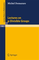 M. Demazure - Lectures on p-Divisible Groups
