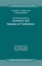 T. Kambe, T Miyauchi, T. Miyauchi, T Nakano, T. Nakano - IUTAM Symposium on Geometry and Statistics of Turbulence