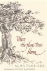 Alma Flor Ada, Antonio Martorell - Where the Flame Trees Bloom