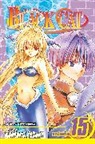 Kentaro Yabuki, Kentaro Yabuki - Black Cat v.15