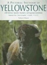 Nelson Erikson, Erik Nelson - Pictorial Souvenir of Yellowstone