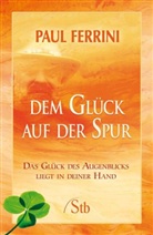 Paul Ferrini - Dem Glück auf der Spur