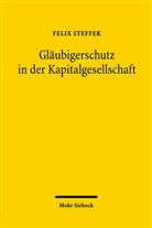 Felix Steffek - Gläubigerschutz in der Kapitalgesellschaft