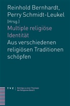 Reinhold Bernhardt, Perry Schmidt-Leukel - Multiple religiöse Identität