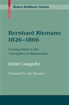 Detlef Laugwitz, Detleff Laugwitz - Bernhard Riemann 1826-1866