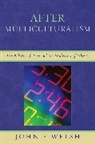 John F Welsh, John F. Welsh - After Multiculturalism