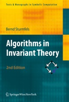 Bernd Sturmfels, Pete Paule, Peter Paule - Algorithms in Invariant Theory
