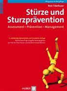 Rein Tideiksaar, The Dassen, Theo Dassen, The Dassen (Prof. Dr.), Theo Dassen (Prof. Dr.), Schwendimann... - Stürze und Sturzprävention