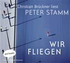 Peter Stamm, Christian Brückner - Wir fliegen, 2 Audio-CDs (Hörbuch)