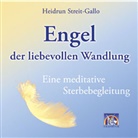 Heidrun Streit-Gallo, Heidrun Streit-Gallo - Engel der liebevollen Wandlung, 1 Audio-CD (Hörbuch)